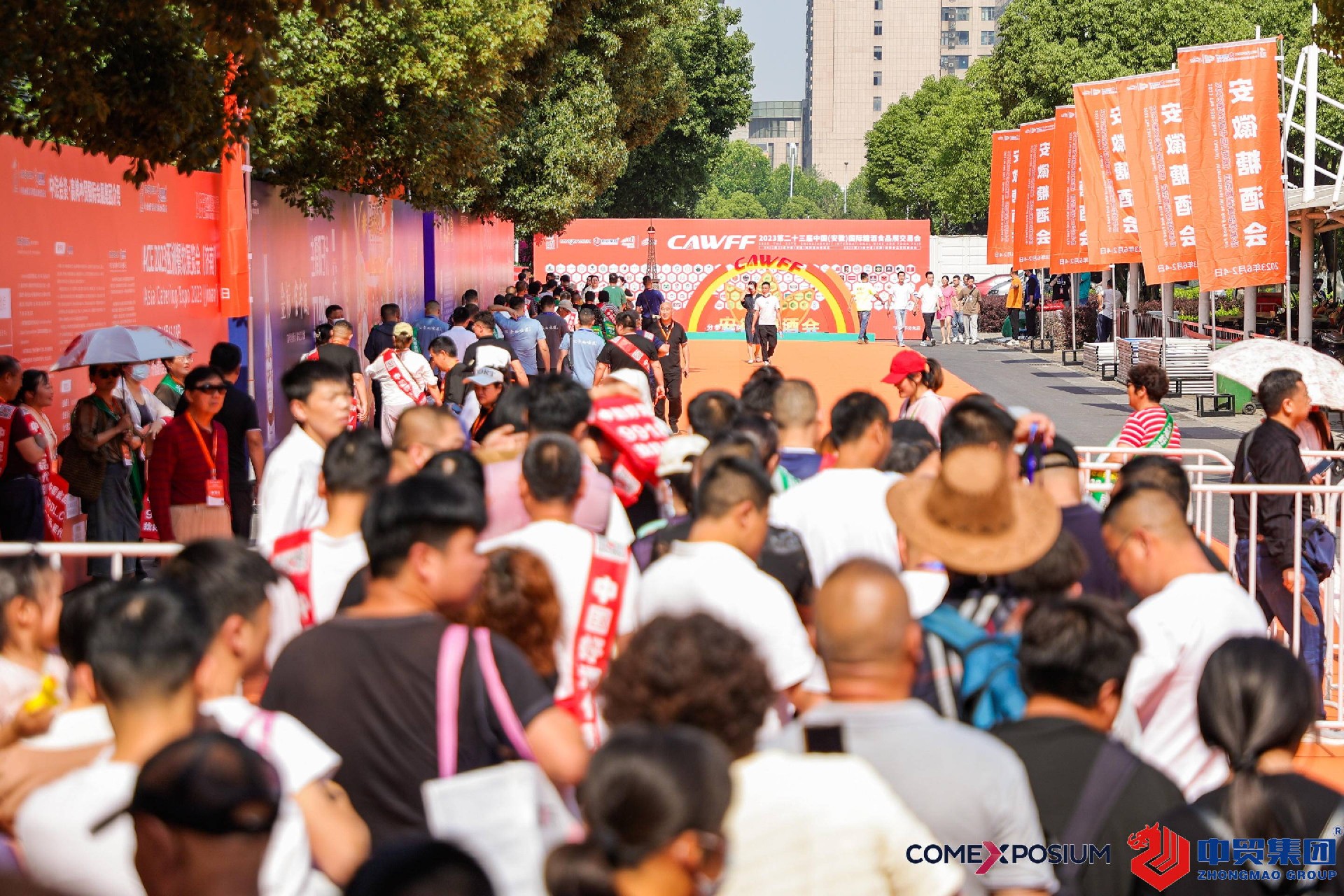 1698375129440390.jpg 1698375129440390.jpg